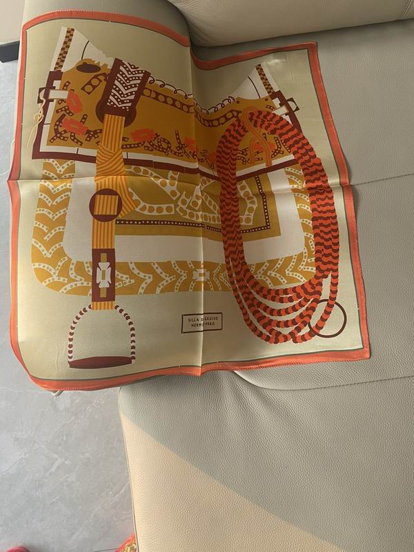 Hermes silk scarf 53X53cm E43 (1)